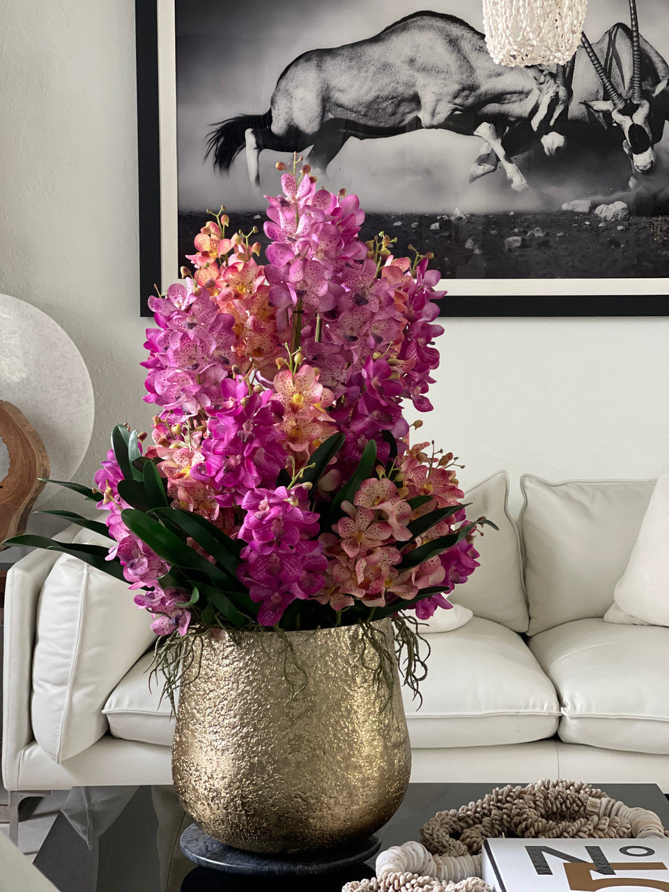 Orchidée Vanda Grand | Signature Riviera