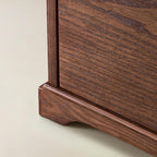Baggio Moderner Aktenschrank mit 2 Schubladen und Ladefunktion