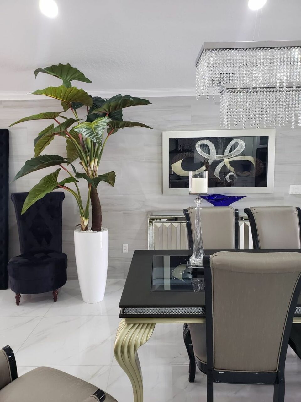 Alocasia · Édition Anjou, blanc brillant
