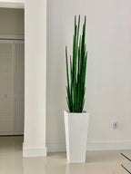 Sansevière — Collection Menton, 160 cm, blanc brillant