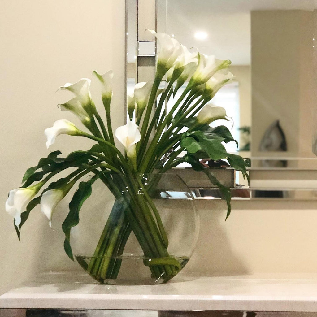 Arum Blanc — Collection Aquitaine, blanc