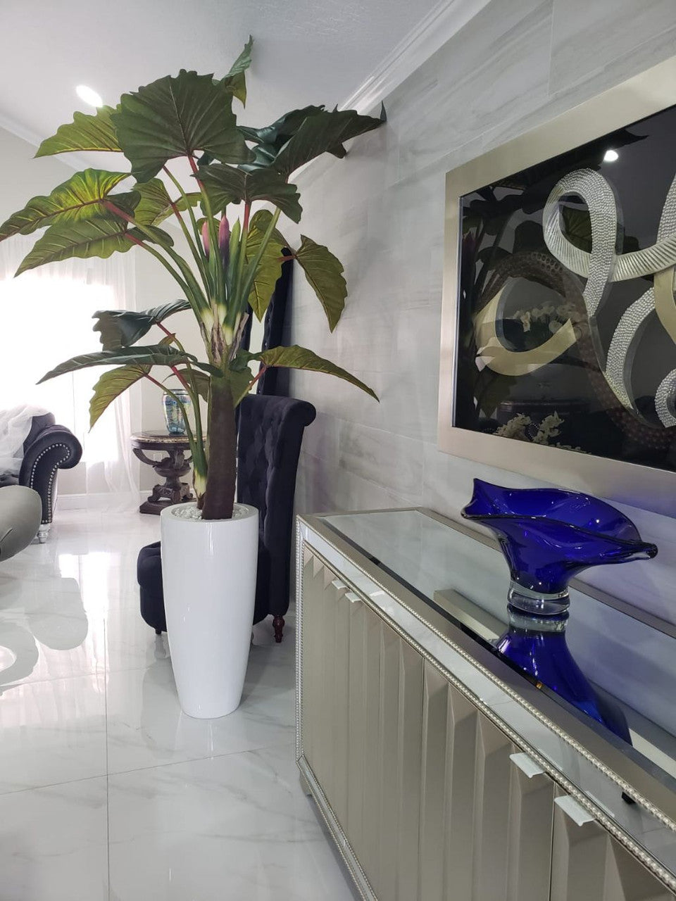 Alocasia · Édition Anjou, blanc brillant