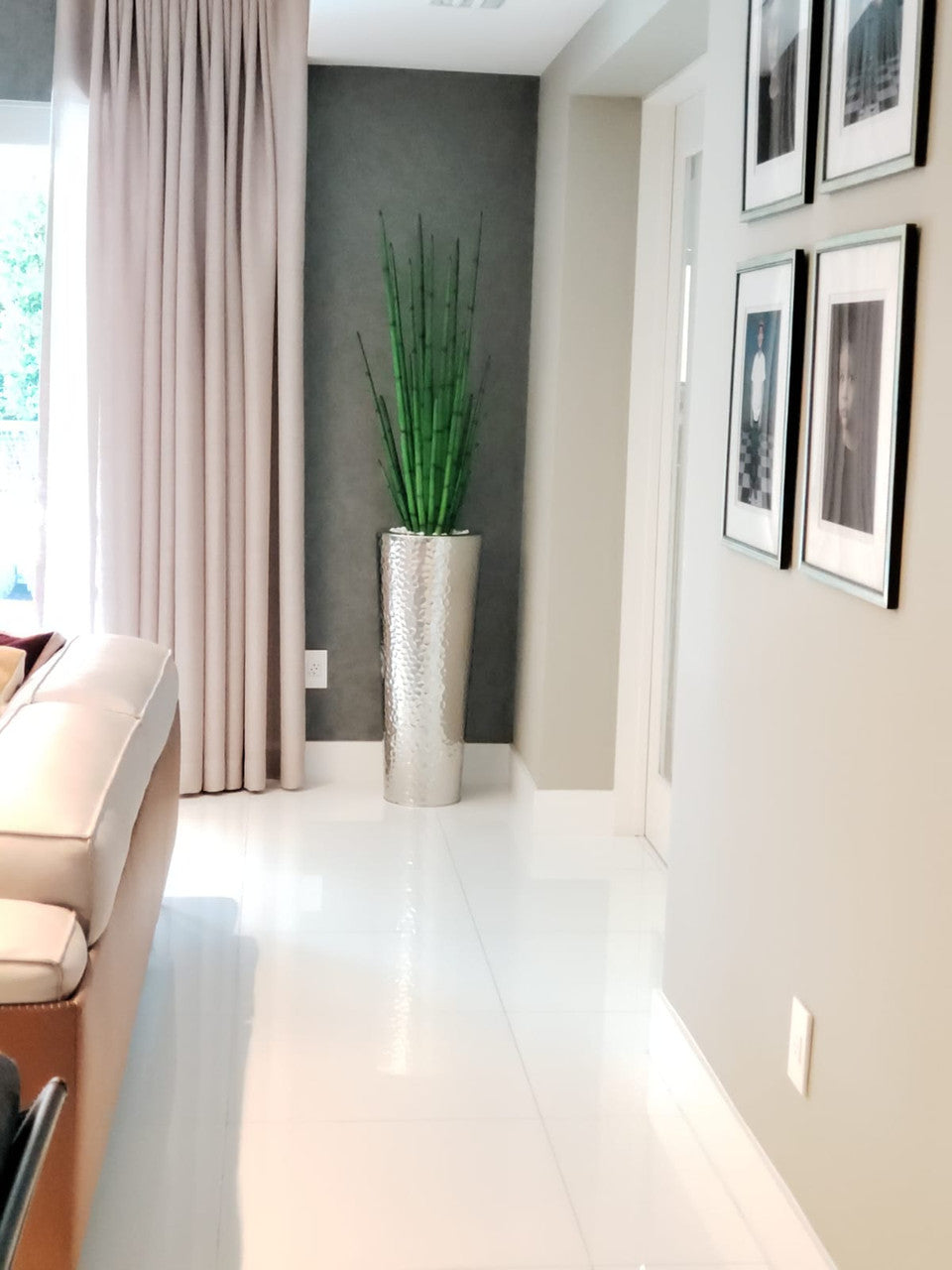 Sansevière 122 cm · Édition Alsace