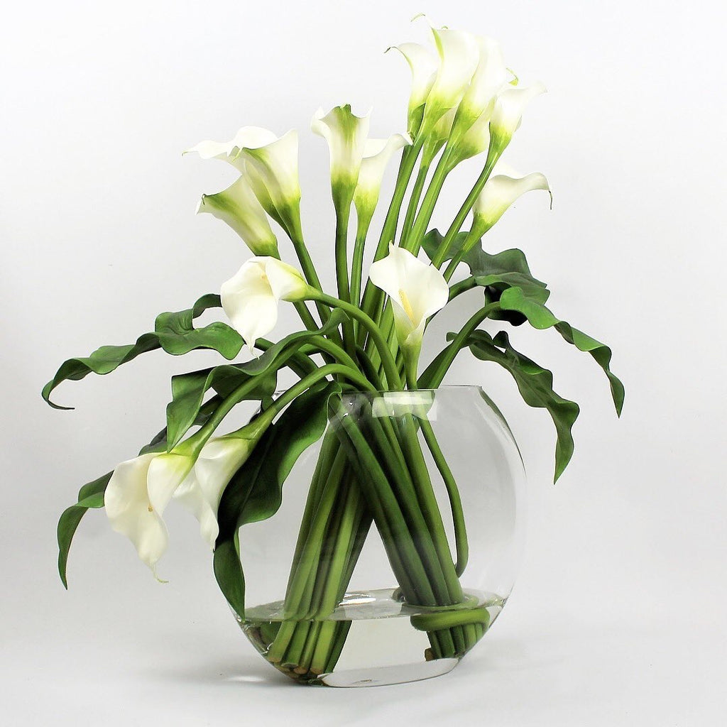 Arum Blanc — Collection Aquitaine, blanc