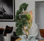 Bonsaï | Signature Alsace