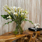 Arum Blanc — Collection Aquitaine, blanc