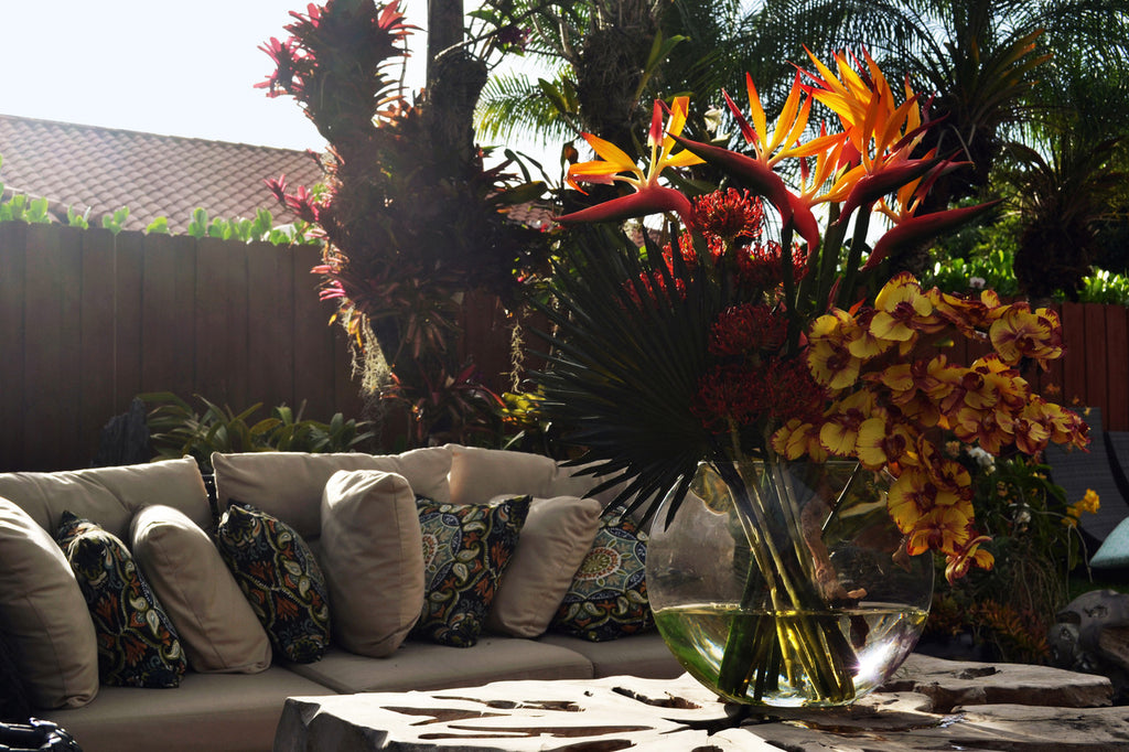 Oiseau de Paradis | Signature Riviera