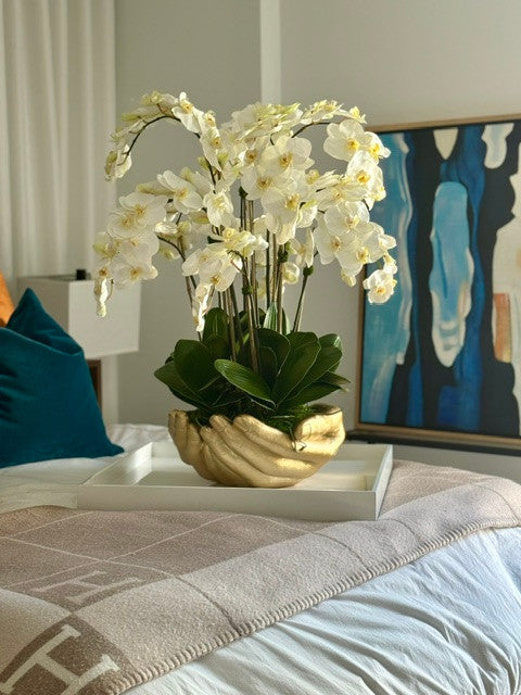Orchidée Phalaenopsis — Collection Nantes, blanc