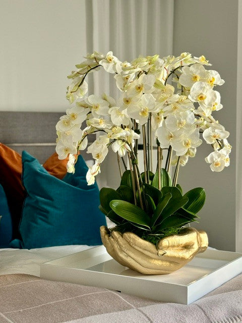Orchidée Phalaenopsis — Collection Nantes, blanc