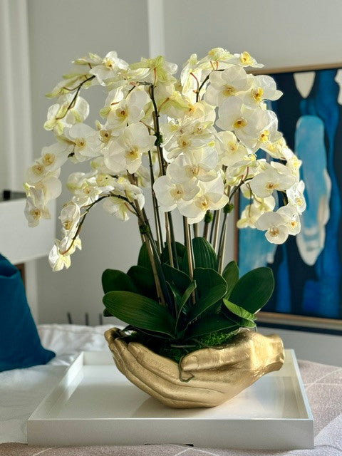 Orchidée Phalaenopsis — Collection Nantes, blanc