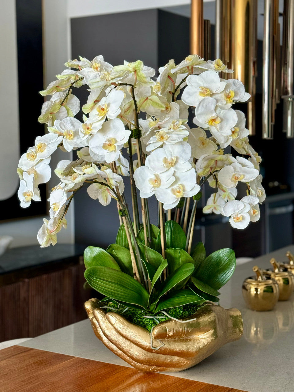 Orchidée Phalaenopsis — Collection Nantes, blanc