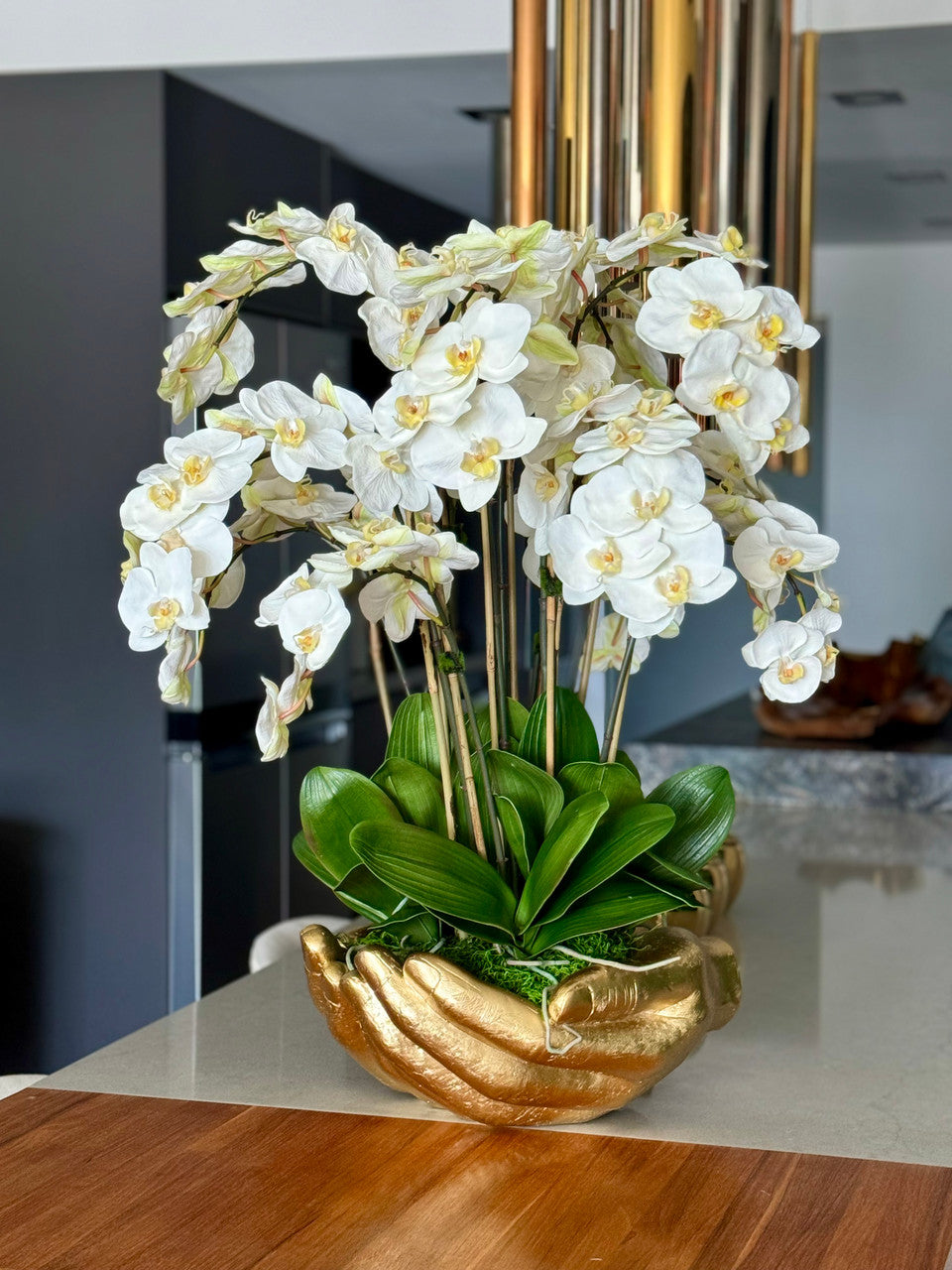 Orchidée Phalaenopsis — Collection Nantes, blanc