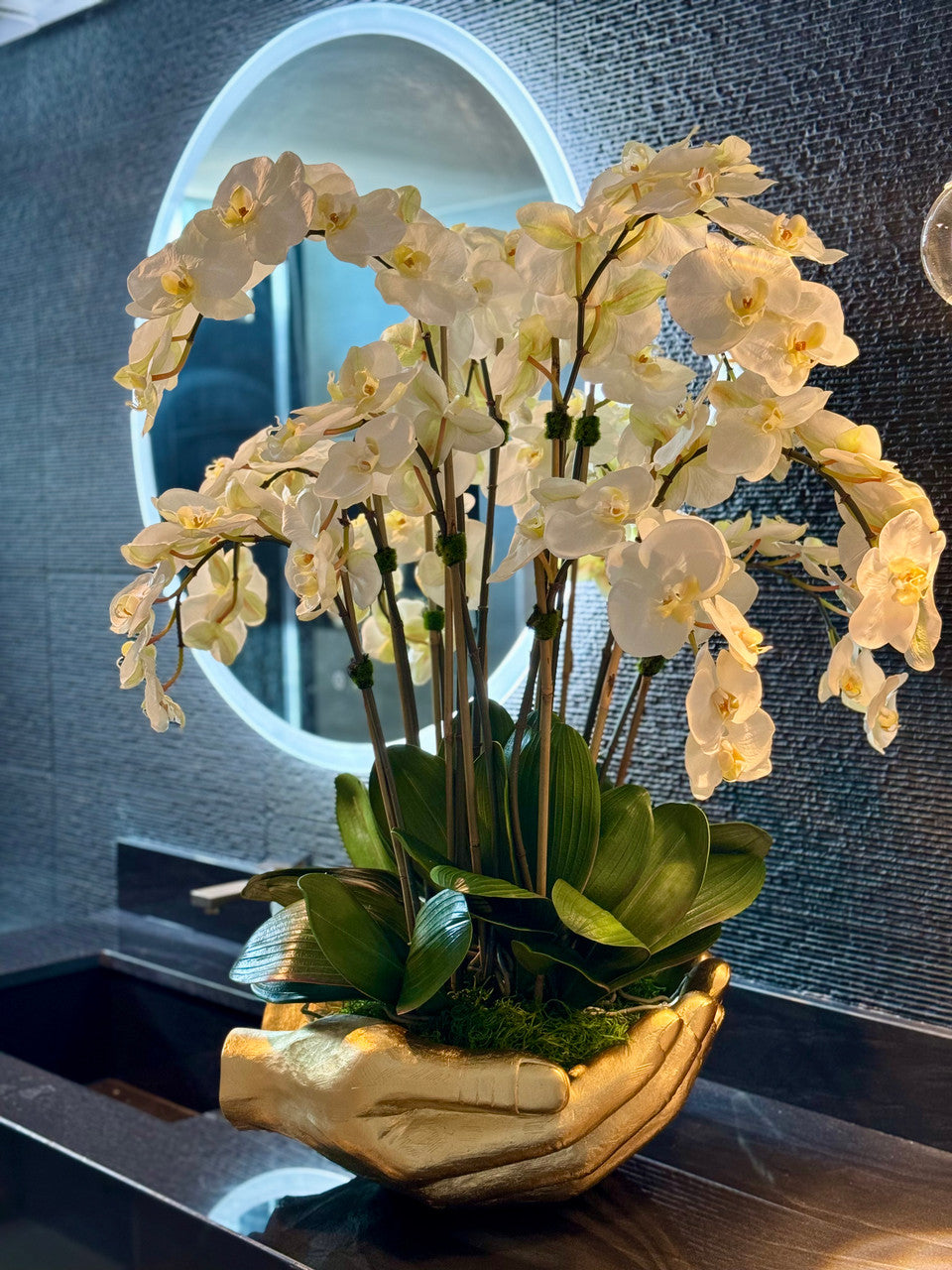 Orchidée Phalaenopsis — Collection Nantes, blanc