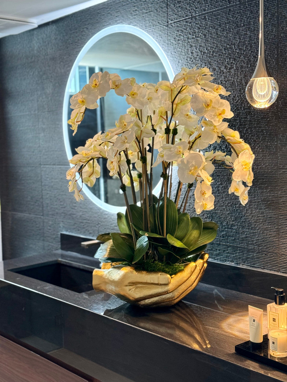Orchidée Phalaenopsis — Collection Nantes, blanc
