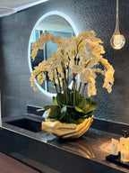 Orchidée Phalaenopsis — Collection Nantes, blanc