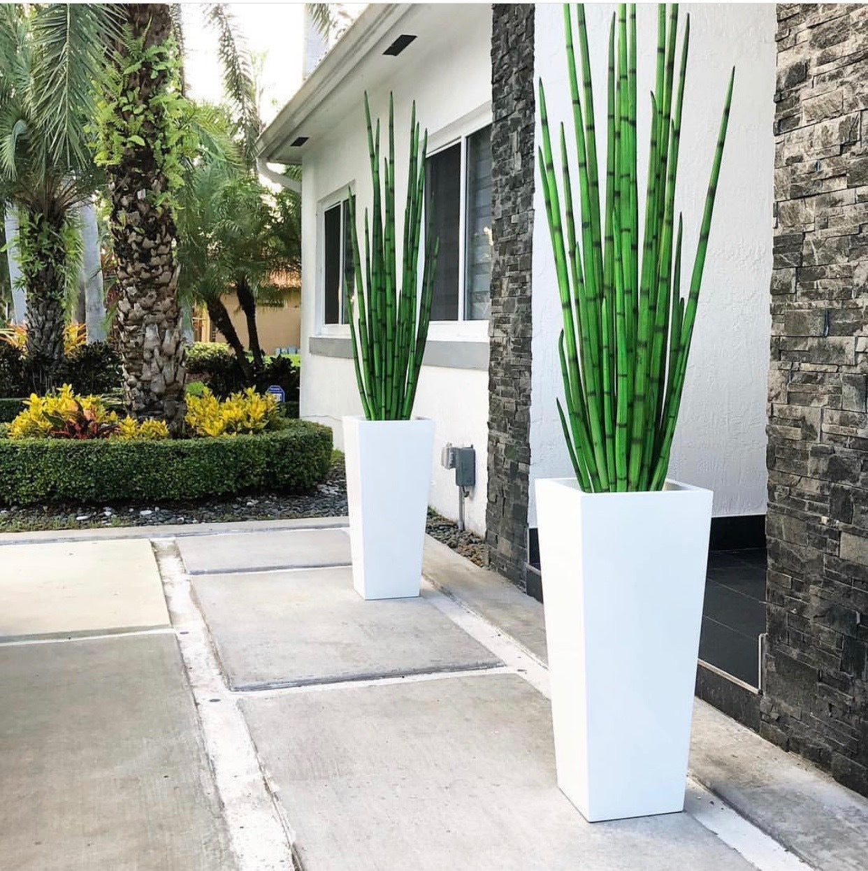 Sansevière — Collection Menton, 160 cm, blanc brillant