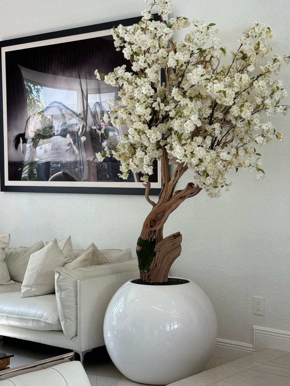 Cerisier en Fleurs — Collection Aquitaine, blanc brillant