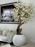 Cerisier en Fleurs — Collection Aquitaine, blanc brillant