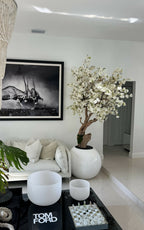 Cerisier en Fleurs — Collection Aquitaine, blanc brillant