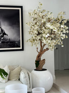 Cerisier en Fleurs — Collection Aquitaine, blanc brillant