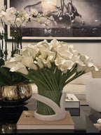 Arum Blanc — Collection Aquitaine