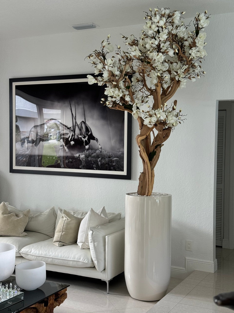 Composition Magnolia 305 cm · Édition Ardennes, blanc brillant