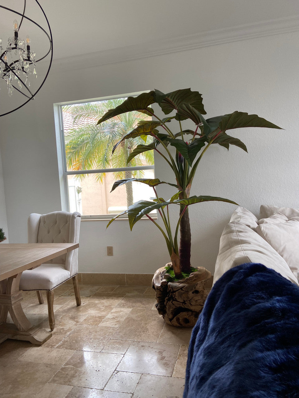Plante Tropicale XXL — Collection Aquitaine