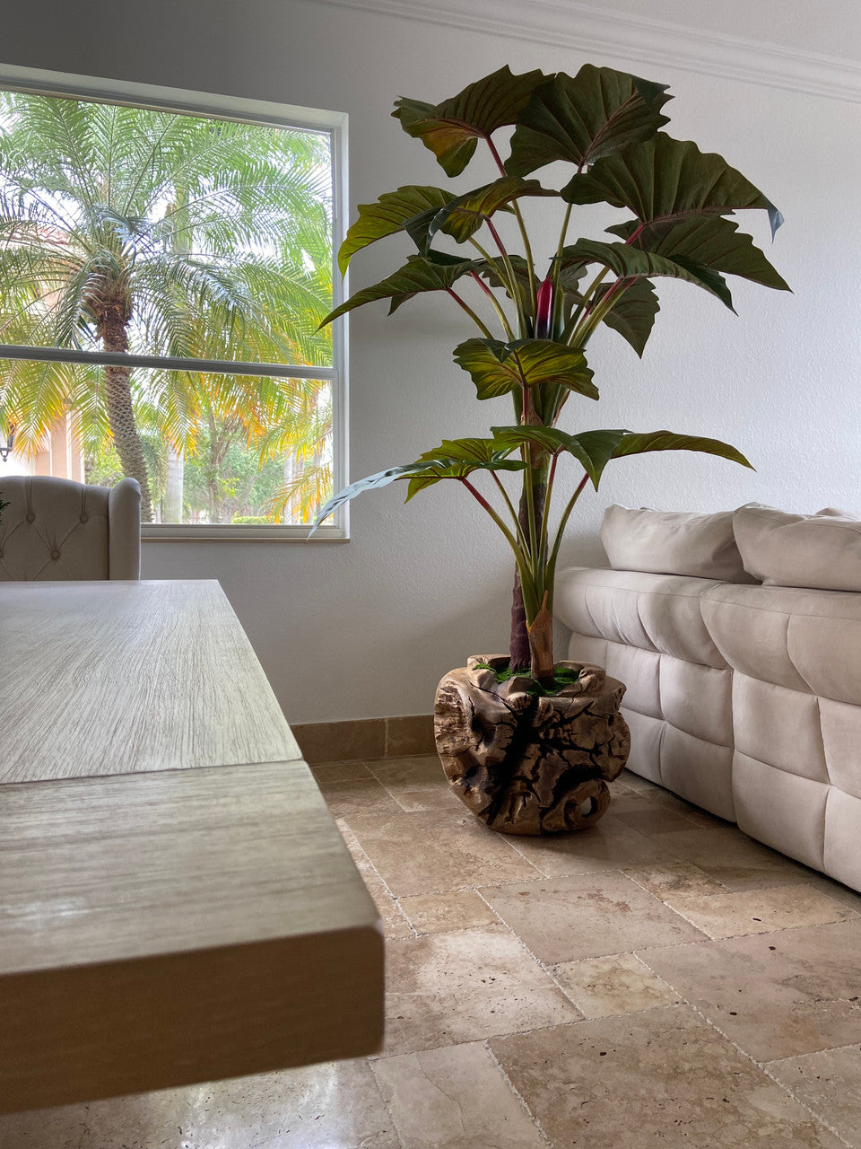 Plante Tropicale XXL — Collection Aquitaine