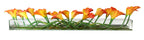 Arum Blanc 122 cm · Édition Antibes