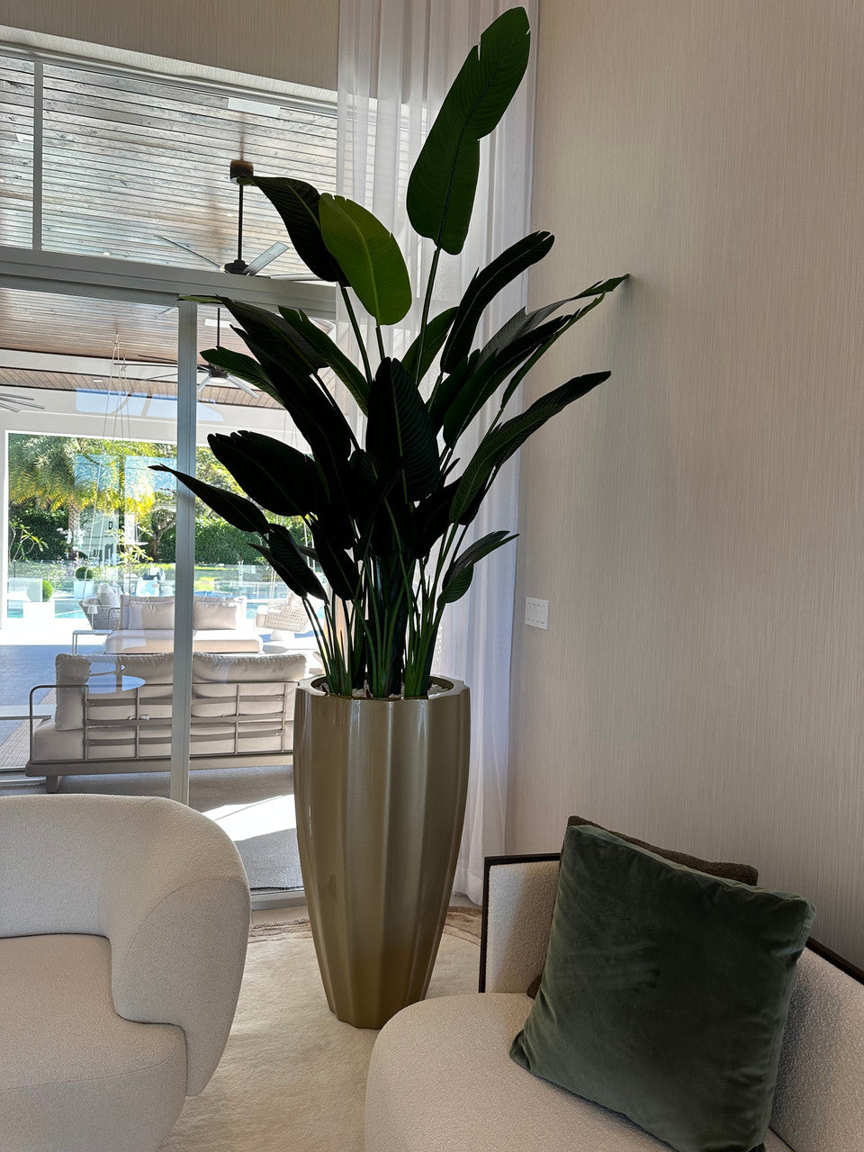 Oiseau de Paradis — Collection Cannes
