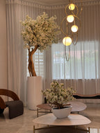 Cerisier en Fleurs · Édition Antibes, blanc mat