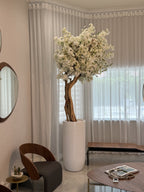 Cerisier en Fleurs · Édition Antibes, blanc mat