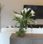 Arum Blanc — Collection Aquitaine, blanc