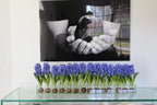Composition Jacinthes 122 cm | Signature Provence, bleu