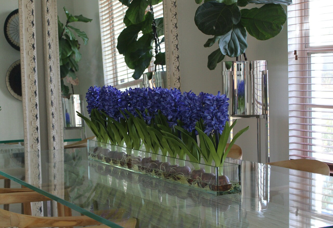 Composition Jacinthes 122 cm | Signature Provence, bleu