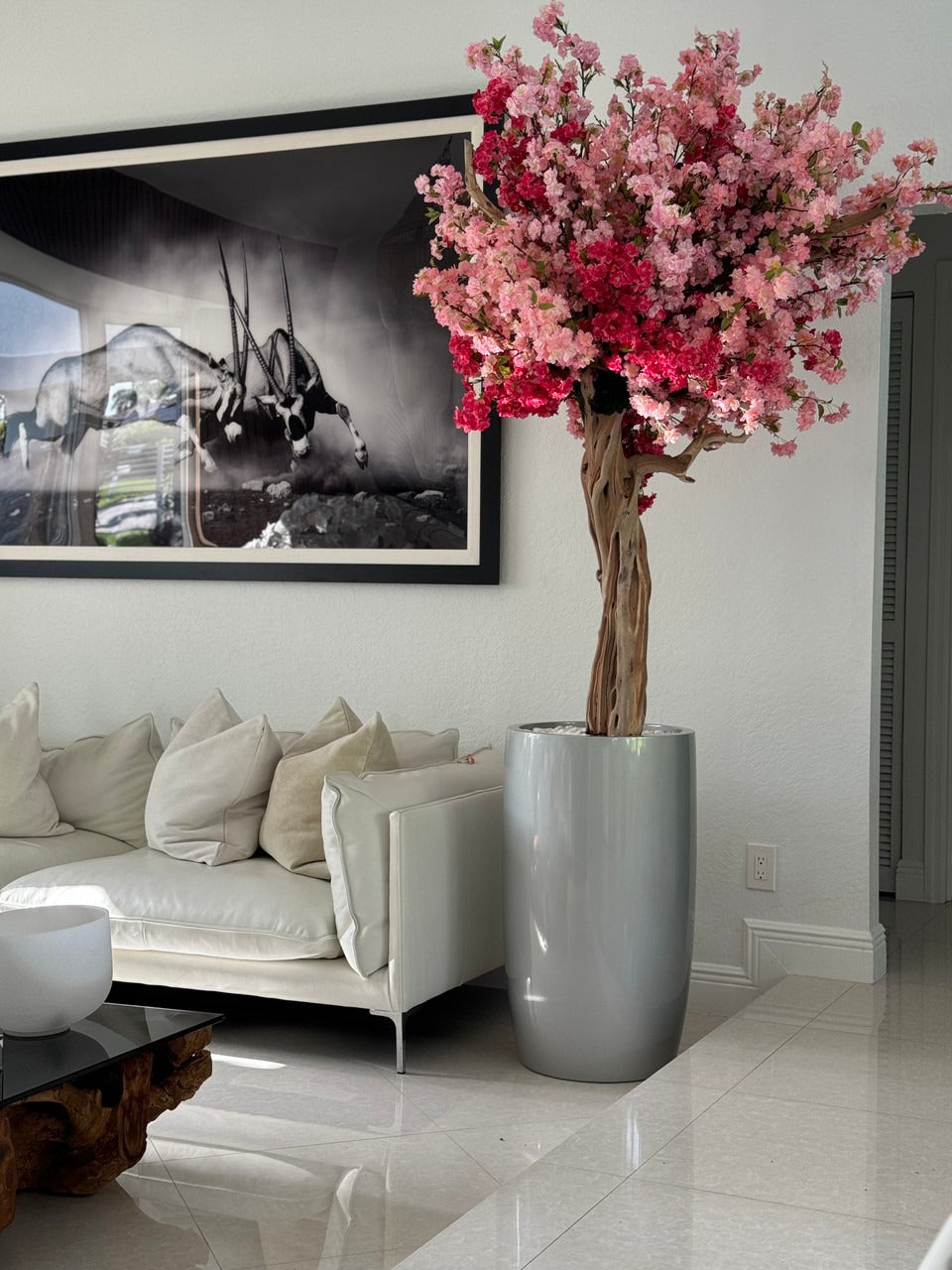 Cerisier en Fleurs | Signature Deauville, rose brillant