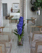Composition Jacinthes 122 cm | Signature Provence, bleu