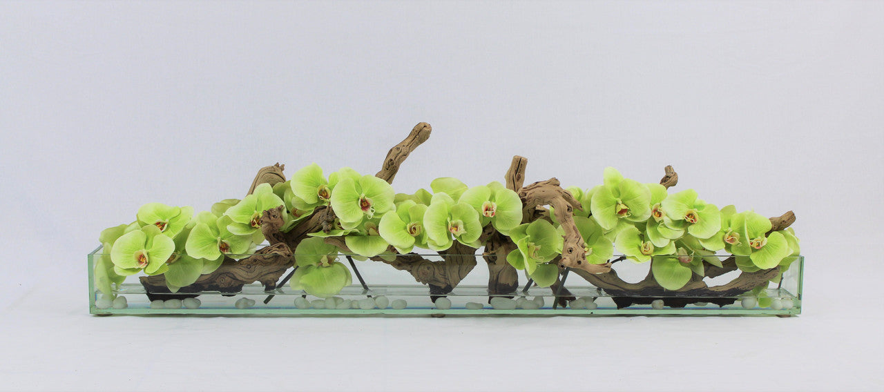 Orchidée Phalaenopsis — Collection Anjou, 122 cm, vert