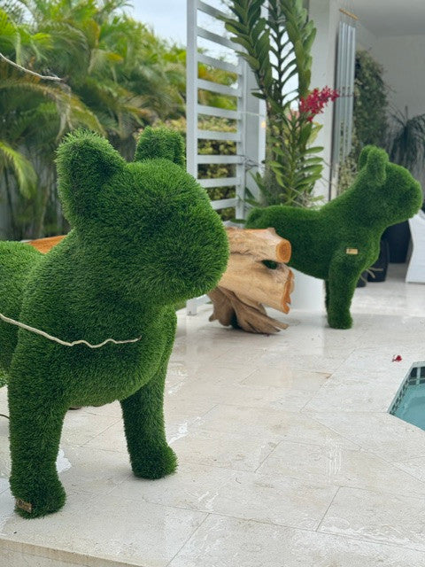 Sculpture Végétale · Édition Antibes