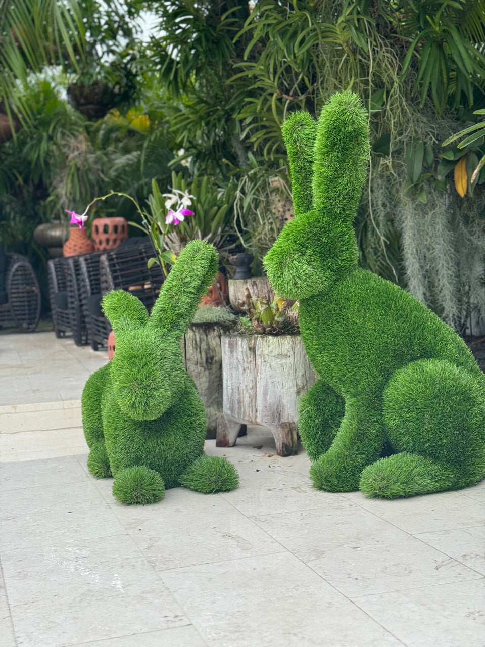 Sculpture Végétale · Édition Anjou