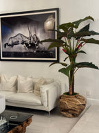 Plante Tropicale XXL — Collection Aquitaine