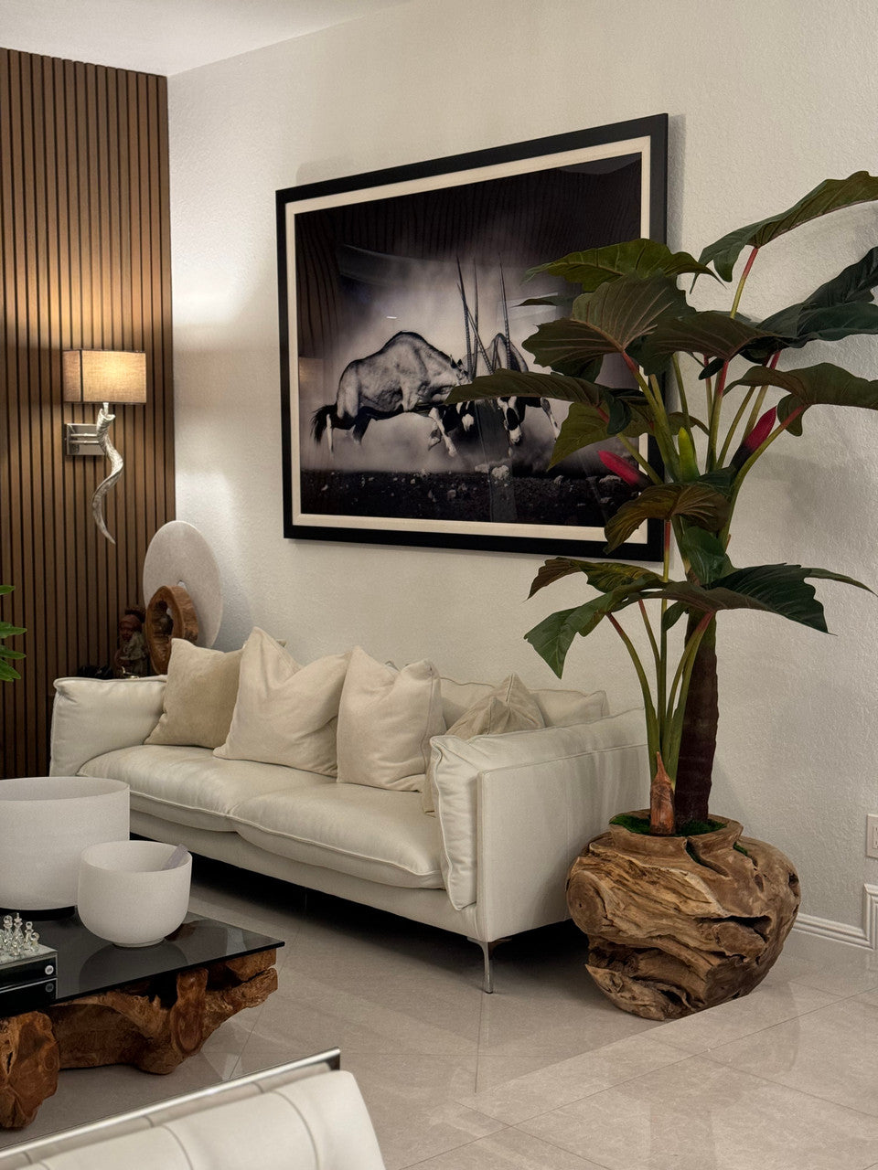 Plante Tropicale XXL — Collection Aquitaine