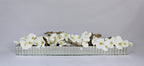 Orchidée Phalaenopsis 122 cm | Signature Ardennes, blanc
