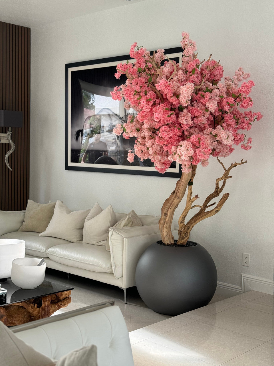 Cerisier en Fleurs — Collection Bourgogne, mat