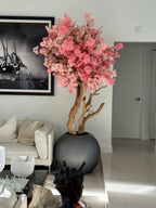 Cerisier en Fleurs — Collection Bourgogne, mat