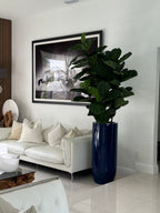 Figuier Lyre | Signature Riviera, bleu brillant