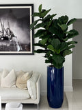 Figuier Lyre | Signature Riviera, bleu brillant