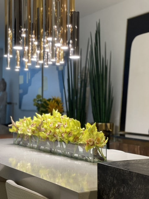 Orchidée Cymbidium — Collection Menton, 122 cm, vert