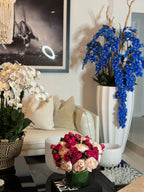 Orchidée Phalaenopsis — Collection Bourgogne, blanc