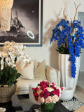 Orchidée Phalaenopsis — Collection Bourgogne, blanc